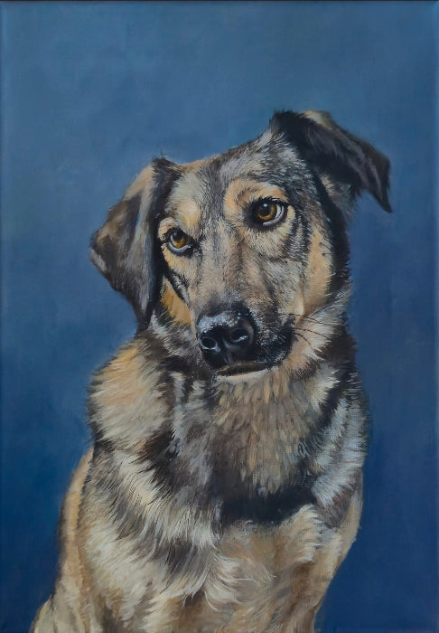 Pet Portrait Commission