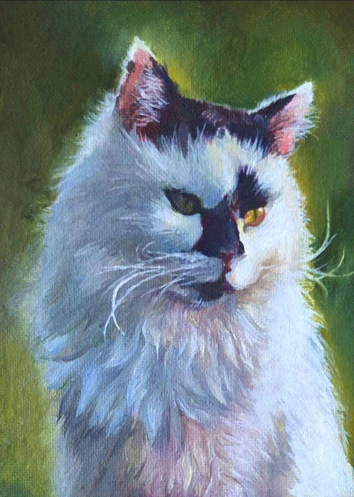 Pet Portrait Commission