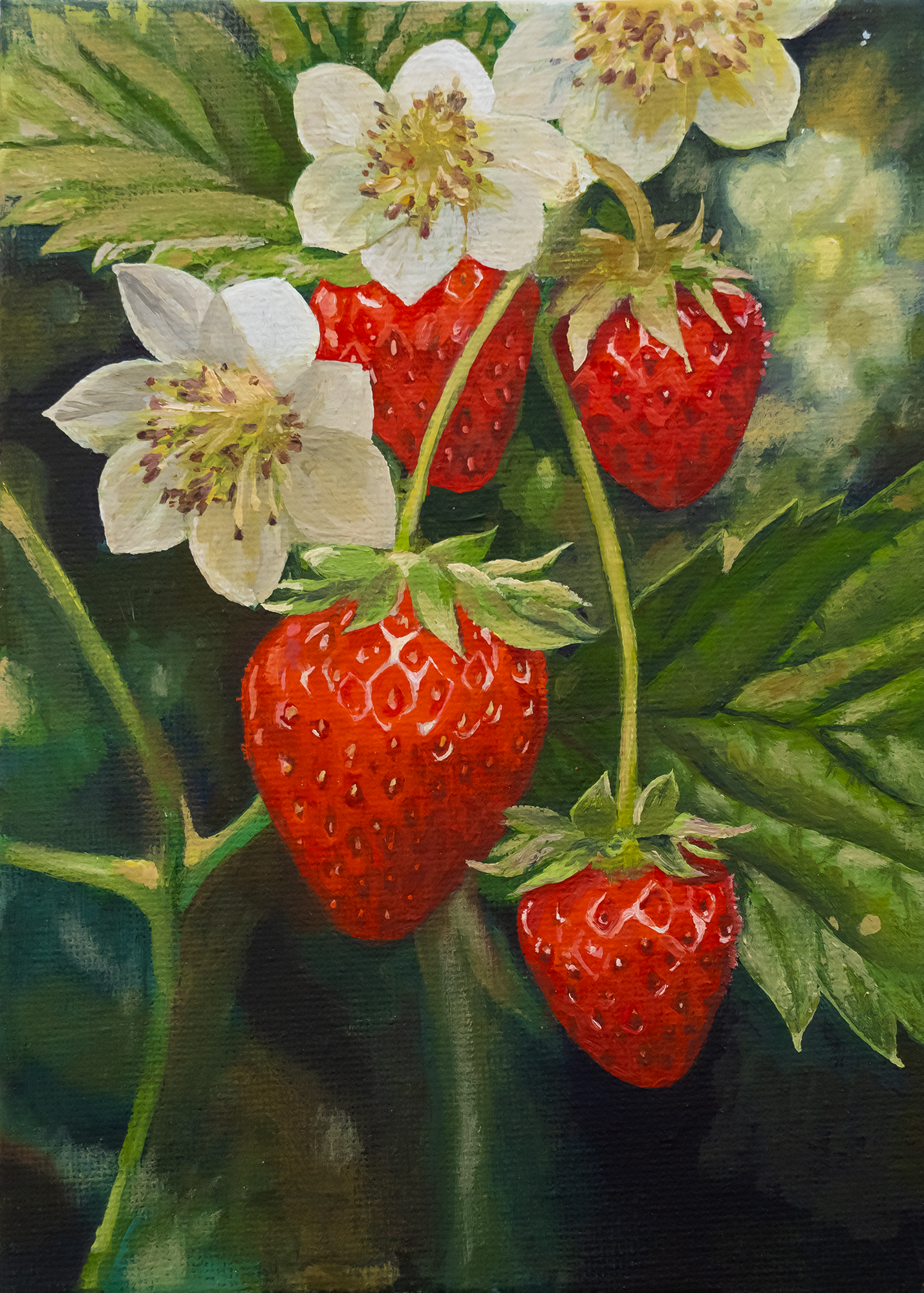 Strawberries 5"x7"