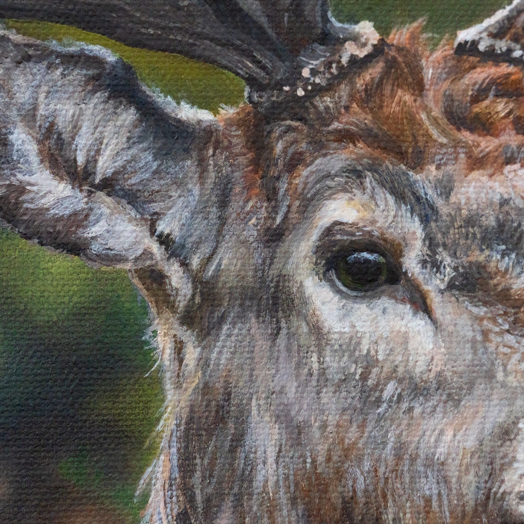 Woodland Hart 16"x20"